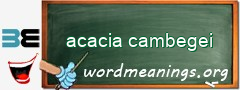 WordMeaning blackboard for acacia cambegei